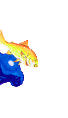 Goldfish